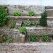 Jardim_pequeno